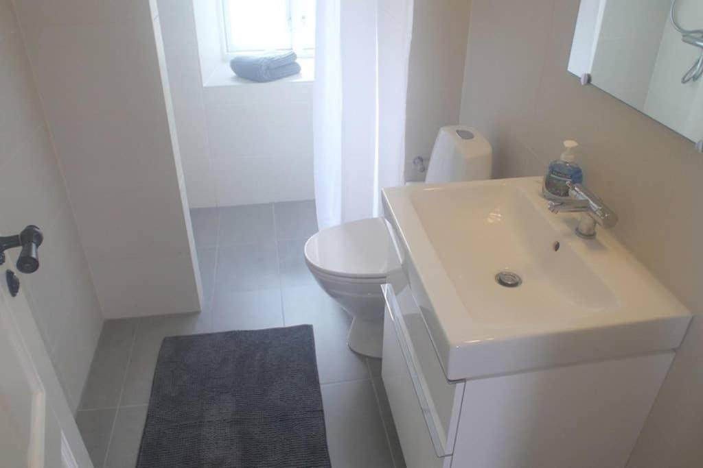 Next To New Harbor / 3 Bedroom & 2 Bath Rooms コペンハーゲン エクステリア 写真